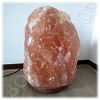 Roze Himalaya zoutlamp 40 kg_1