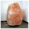 Roze Himalaya zoutlamp 64 kg