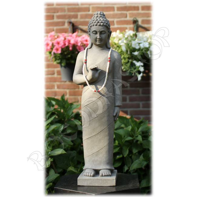 Staande Boeddha dharamchackra licht