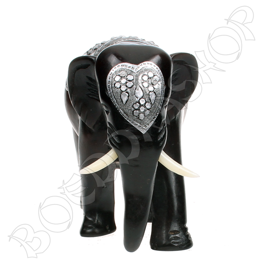 Indische olifant klein