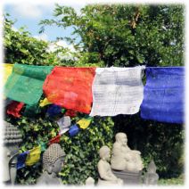Tibetaanse gebedsvlaggen M