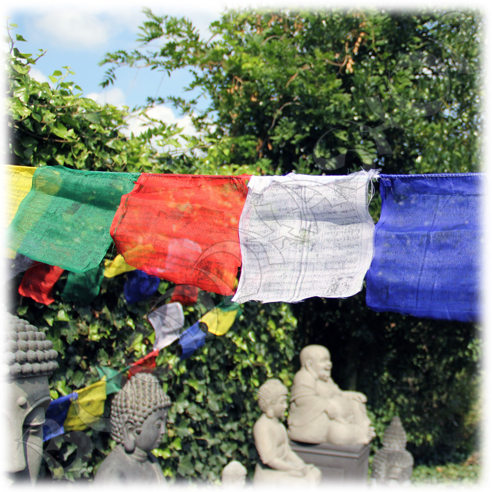 Tibetaanse gebedsvlaggen M
