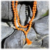 Mala ketting Rudraksha zaden #2